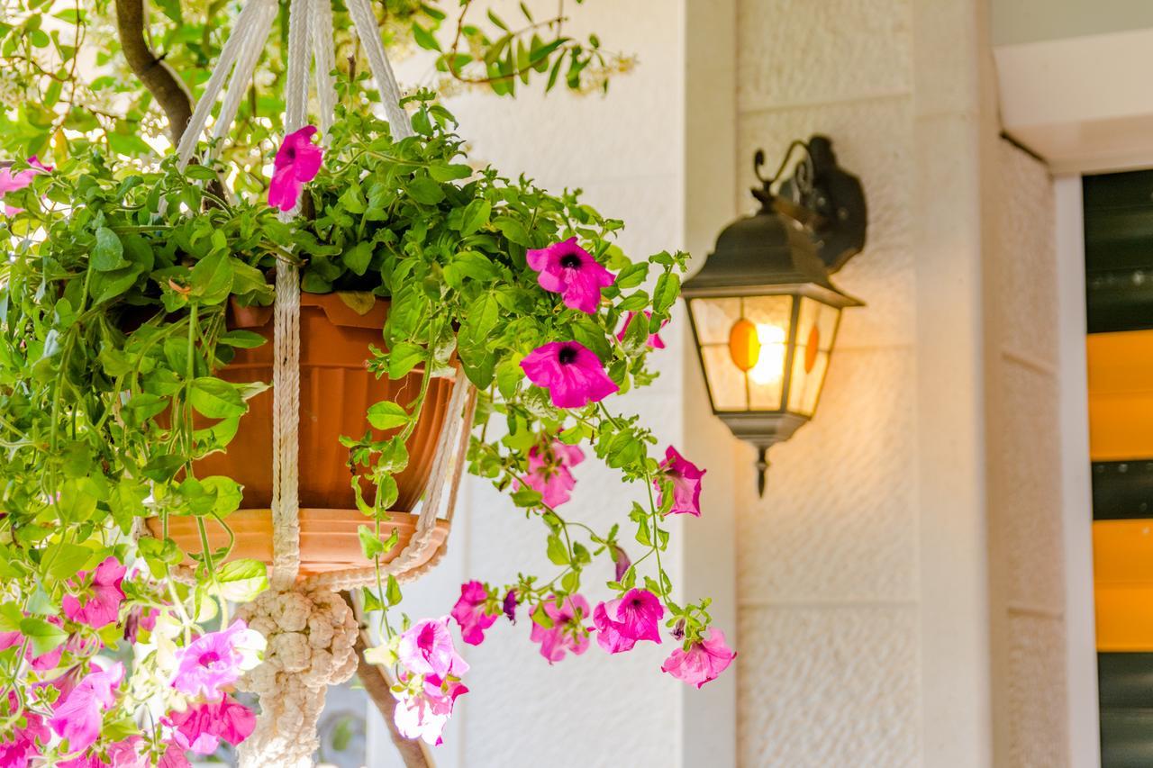 Apartments Villa Camellia - Adults Only スペタル エクステリア 写真