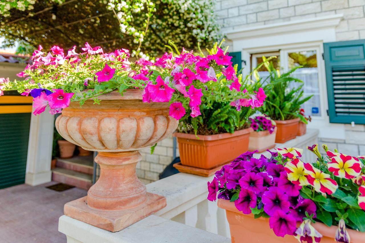 Apartments Villa Camellia - Adults Only スペタル エクステリア 写真