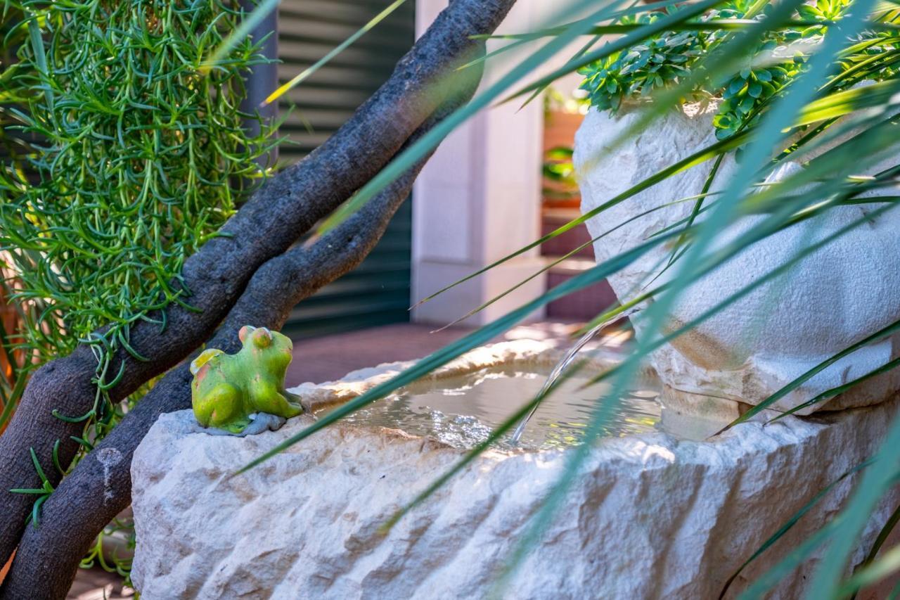 Apartments Villa Camellia - Adults Only スペタル エクステリア 写真